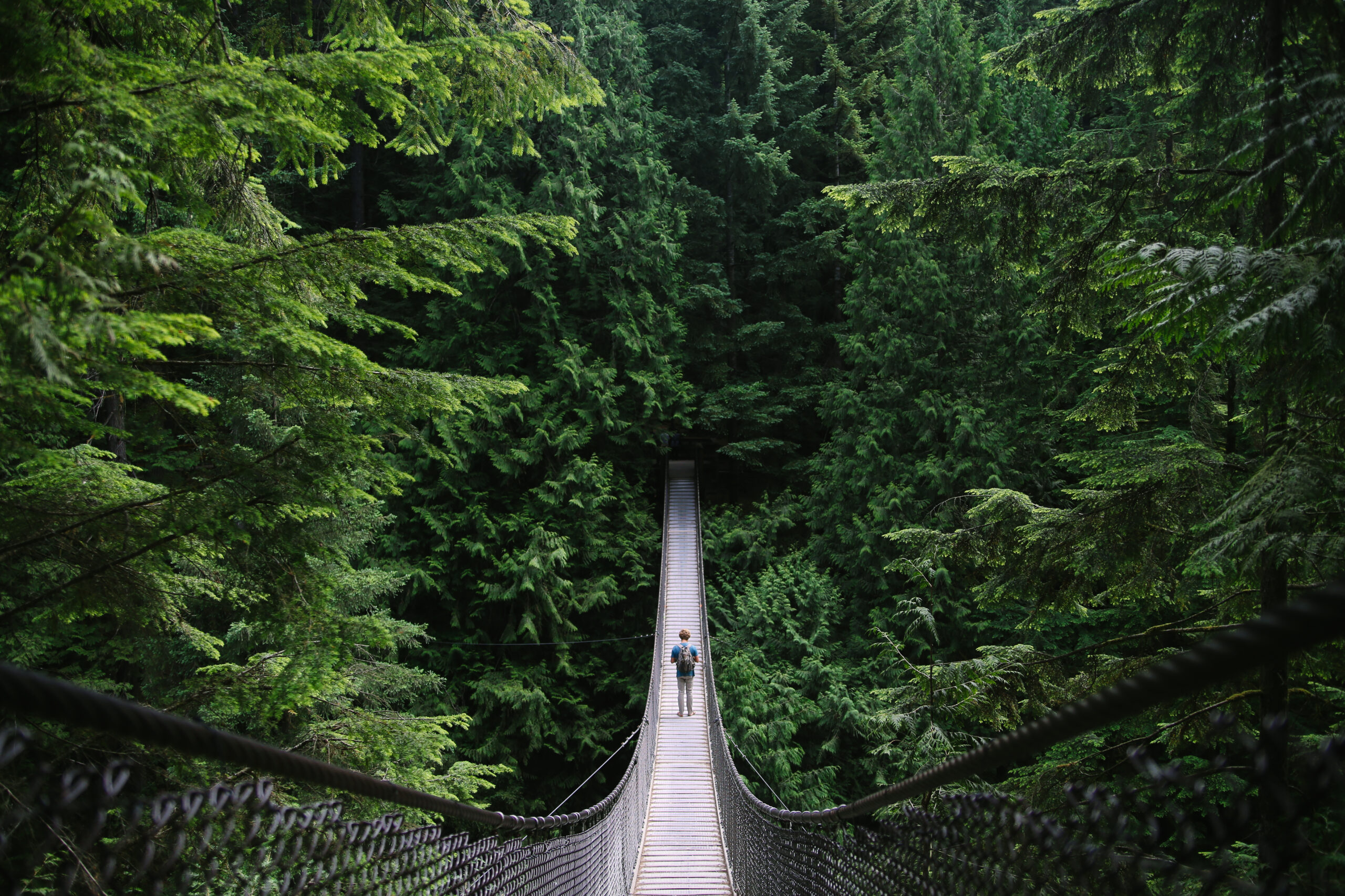 A young fit man exploring the wilderness; walking desolate suspension bridges, walking around a blue alpine lake, and driving on the open road.