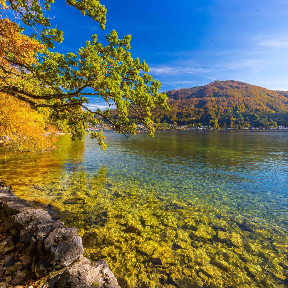 Goldener Herbst am Traunsee