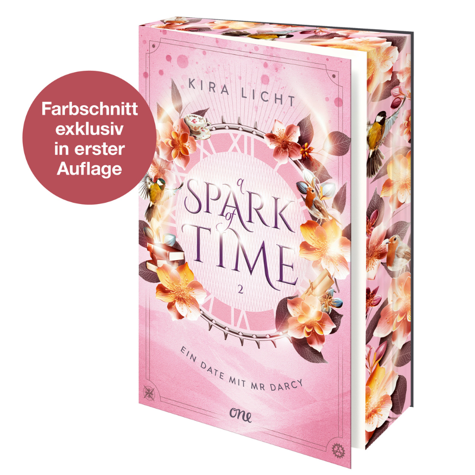 Buch Romane: a spark of time 2