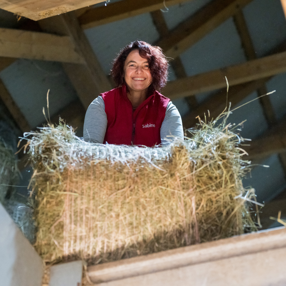 Sabine Sieberer am Pferdehof in Steyrling.