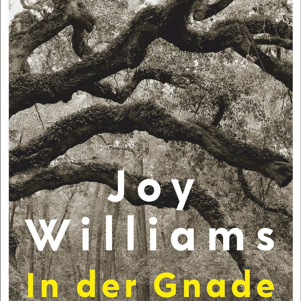 Buchtipps Romane 2/25-In der Gnade