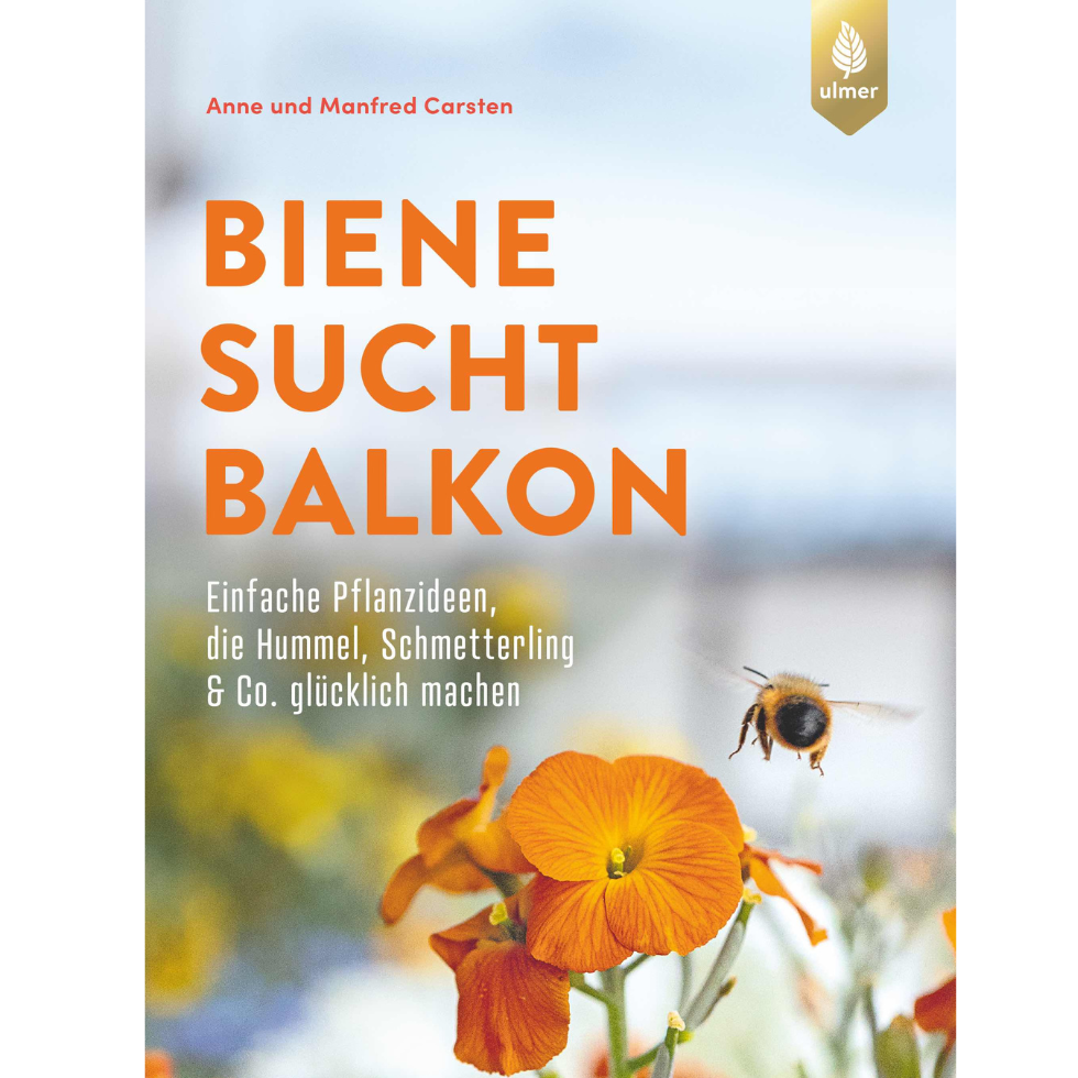 Garten Buchtipps: Biene sucht Balkon
