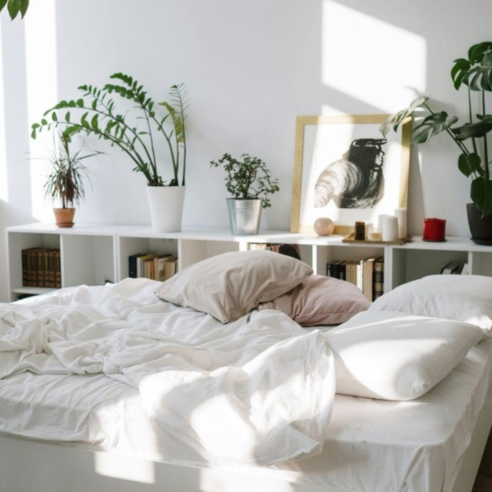 Zimmer mit Pflanzen
