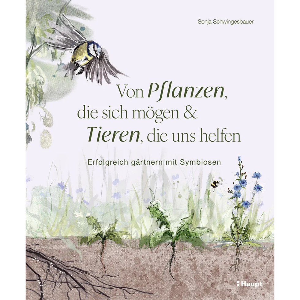 Gartenbücher 2026: Von Pflanzen, die sich mögen und Tieren, die uns helfen