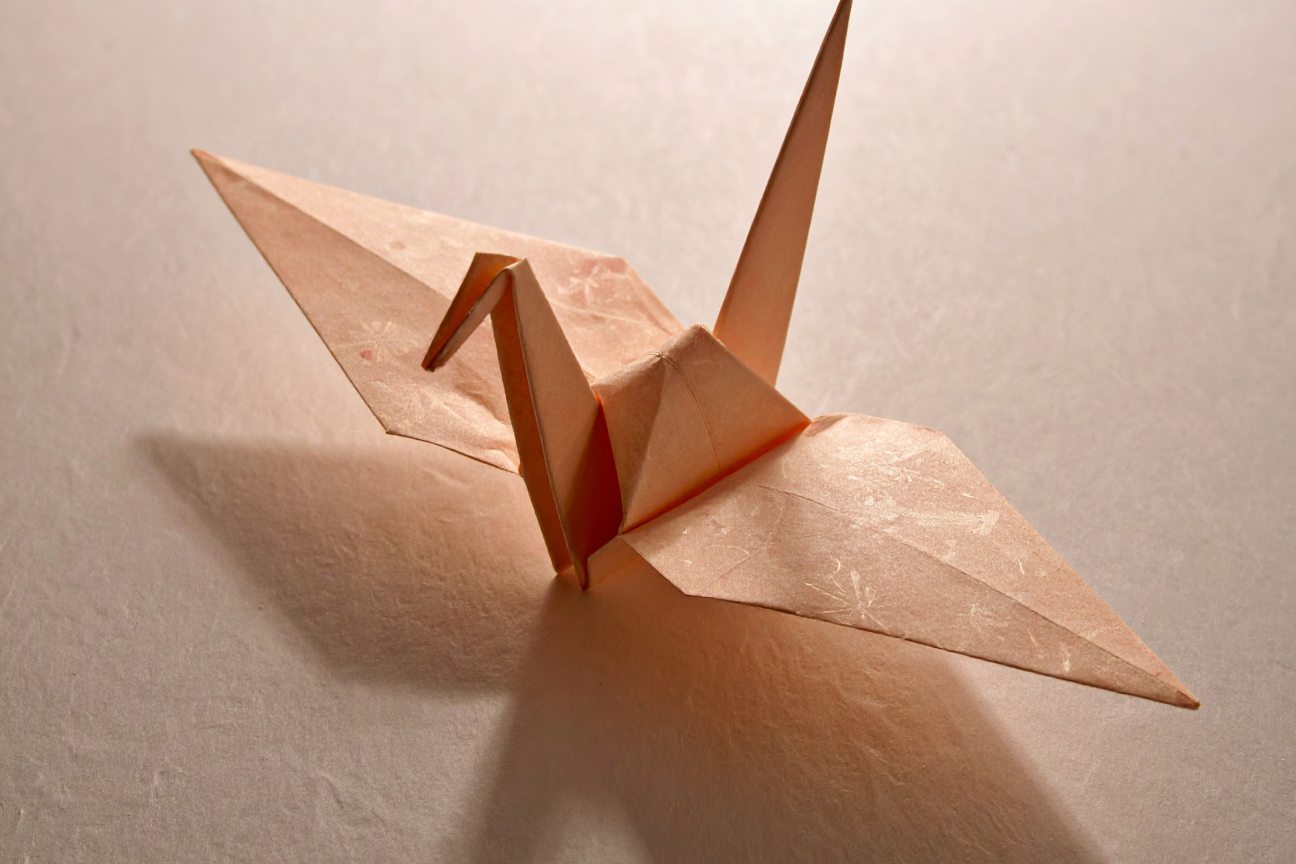 Longevity Symbolfoto, Frauengesundheit 2026