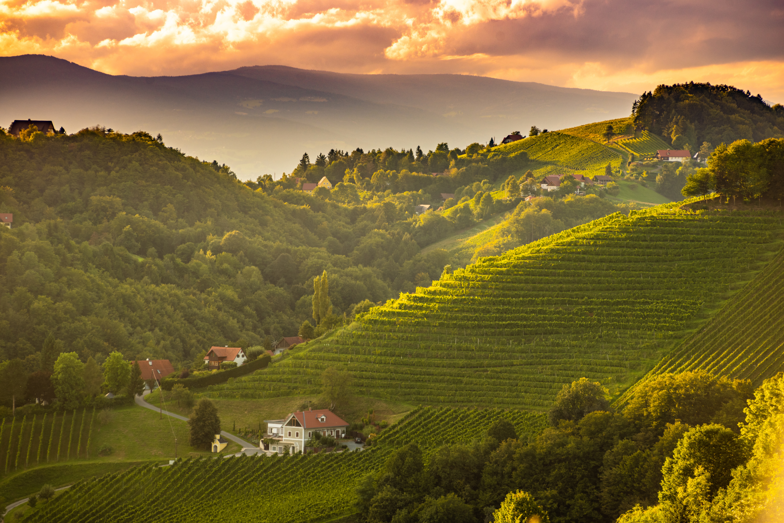 Hidden Gems in Österreich