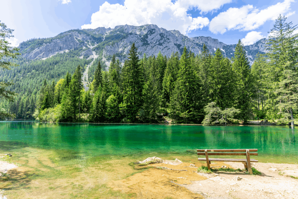 Coolcation: Grüner See