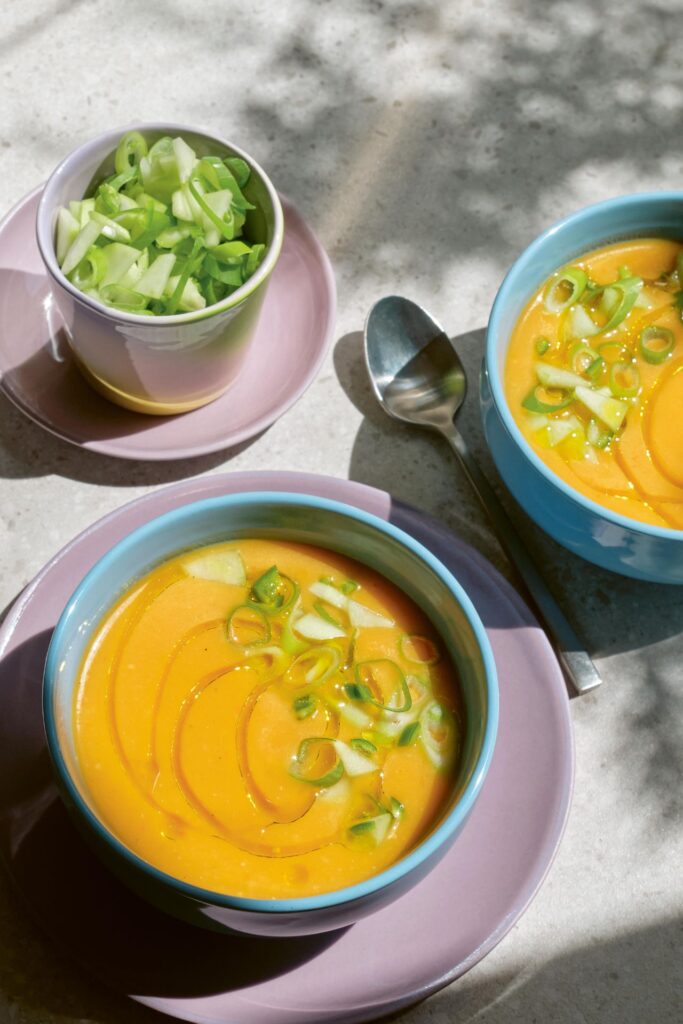 Gazpacho aus dem Buch "Gut bei Hitze"