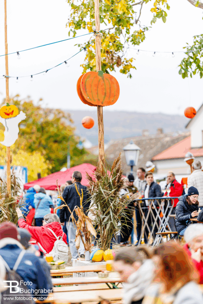 Kürbisfeste: Kürbisfest im Retzer Land