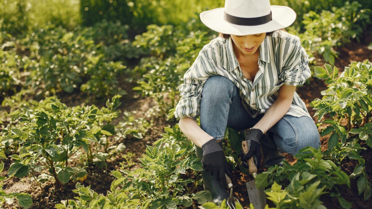 Gartenarbeit: Frau sitzt mit einer kleinen Schaufel in einem Pflanzenbeet und arbeitet im Garten. Sie trÃ¤gt Handschuhe, ein gestreiftes Hemd und einen weiÃen Hut.